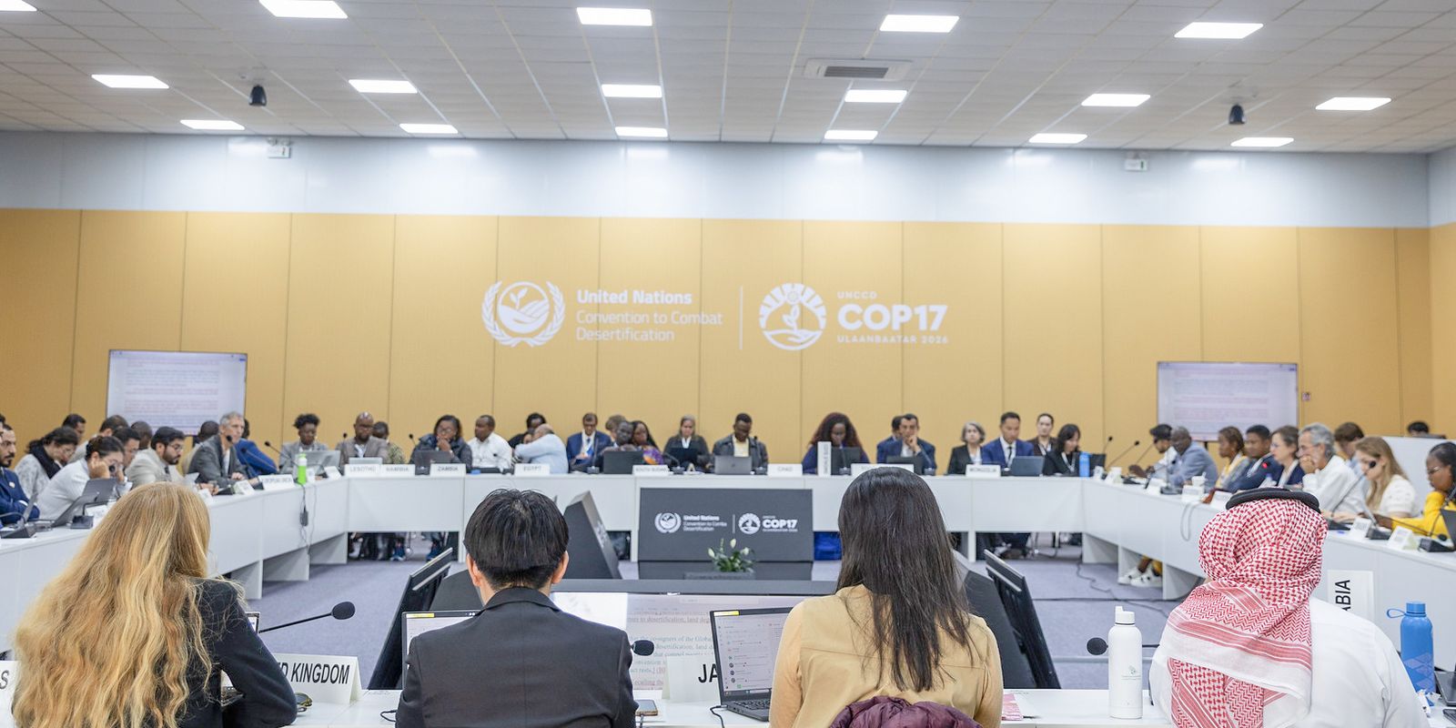 COP17 empurra pacto contra secas para 2028