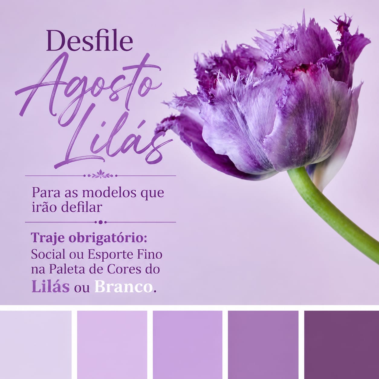 Guarulhos recebe desfile solidário do Agosto Lilás no Jardim Maia