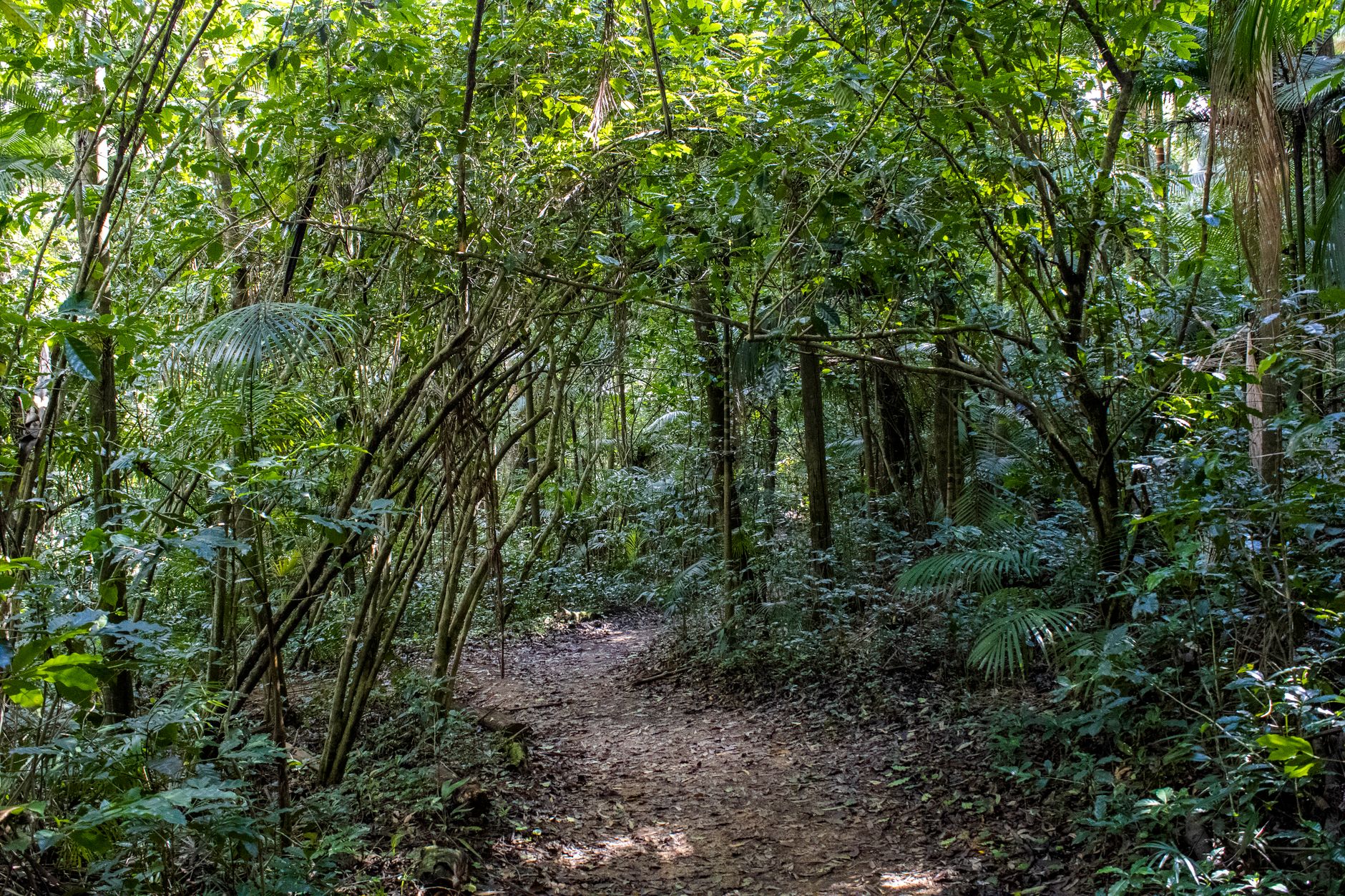 Turismo rural em Piedade atrai moradores de Guarulhos na primavera