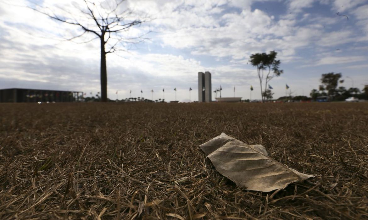 Planeta deve romper limite de 1,5°C de aquecimento nos próximos anos